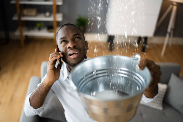 Best Ceiling water damage repair  in Bedford, TX