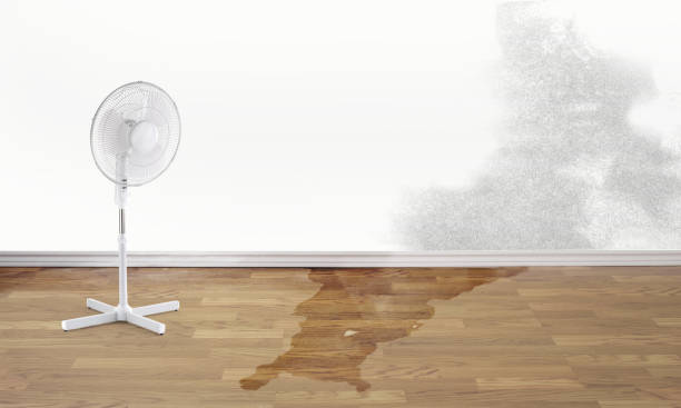 Best Flood restoration services  in Bedford, TX