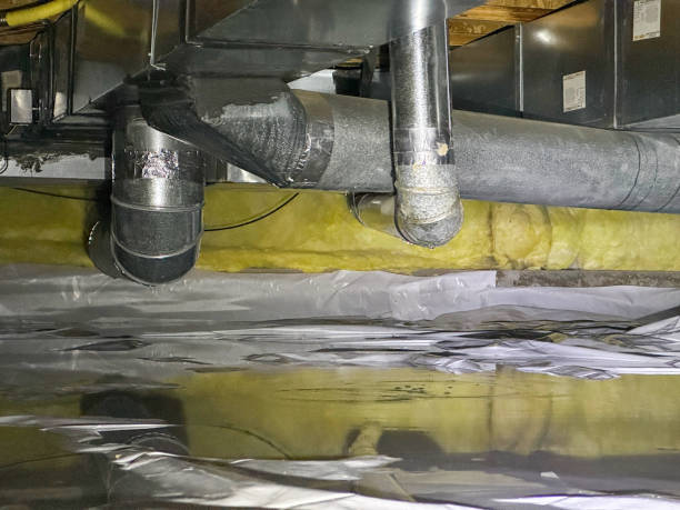 Best Carpet water damage restoration  in Bedford, TX
